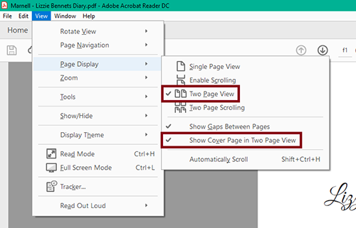 In the top menu of Adobe Acrobat Reader DC, select View, then Page Display, and turn on Two Page View and Show Cover Page in Two PageView.